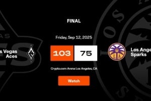 王牌大胜火花 以16连胜结束本赛季常规赛征程！