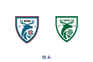 直播吧设计师为蒙超12强定制创意队徽，这一波吧友们给打几分？