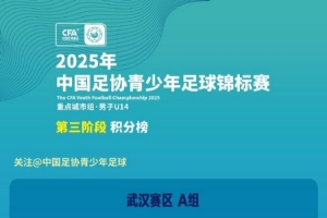 中国足协青少年足球锦标赛：上海、武汉、苏州、北京晋级四强